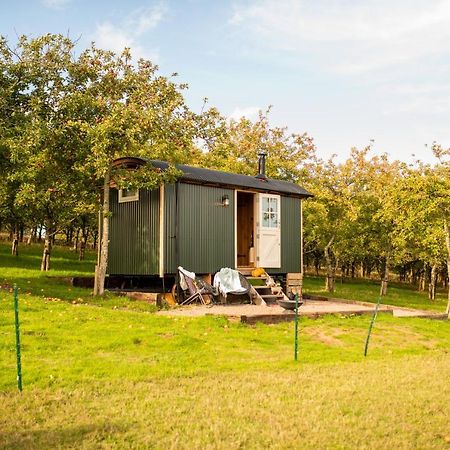 Harrys Hideout - Shepherd'S Huts At Harrys Cottages Pen-y-Clawdd Buitenkant foto